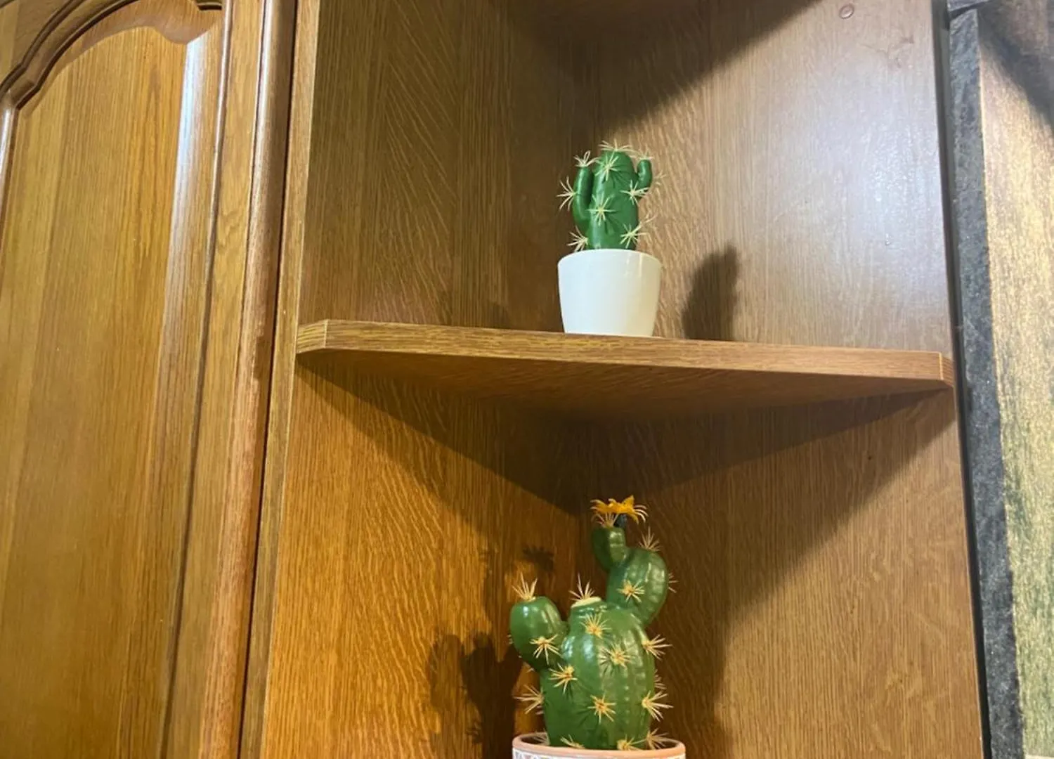 Gergana_Apartament Burgaz 0*,  Bulgaristan